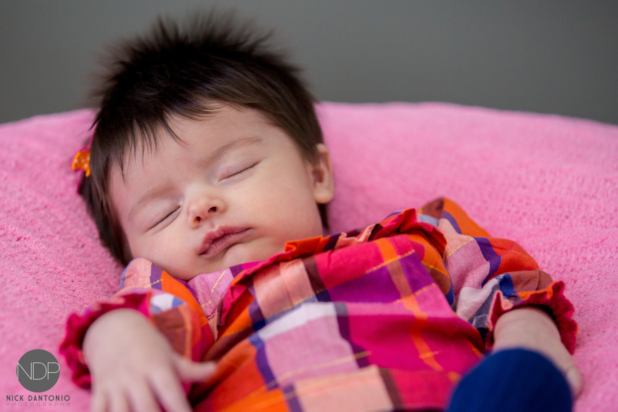 Scott Family Blog WM-13