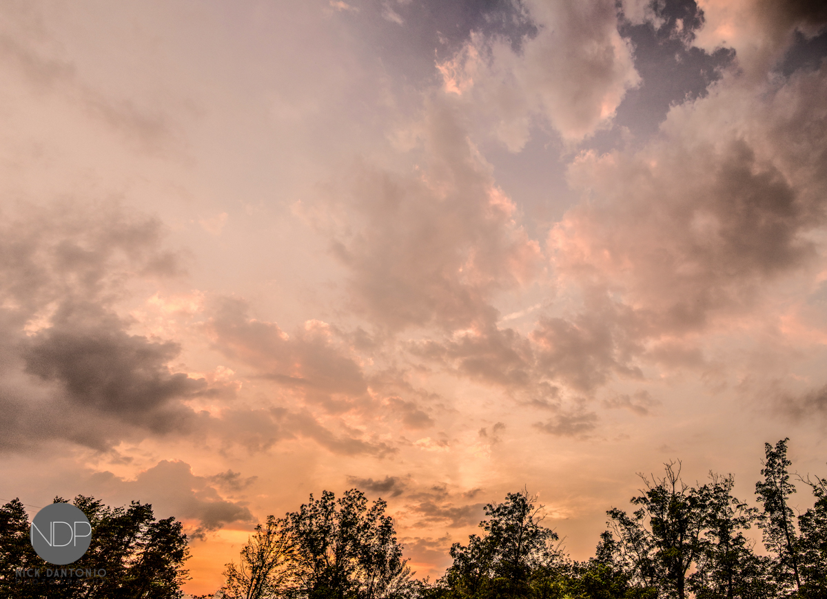 Katie & Jesse_Post-64-Blog