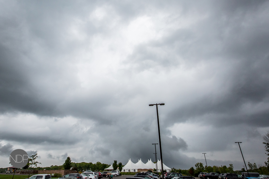 Matt & Lily-Post-16-Blog