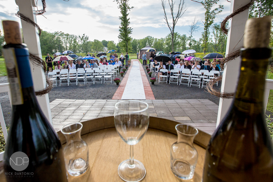 Matt & Lily-Post-19-Blog