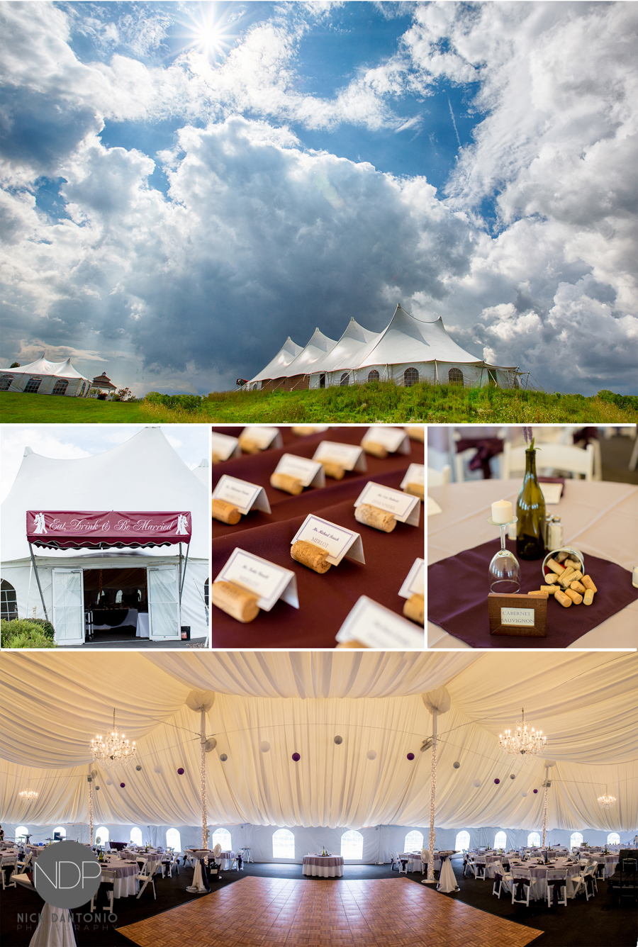 Matt & Lily-Post-54-Blog 3