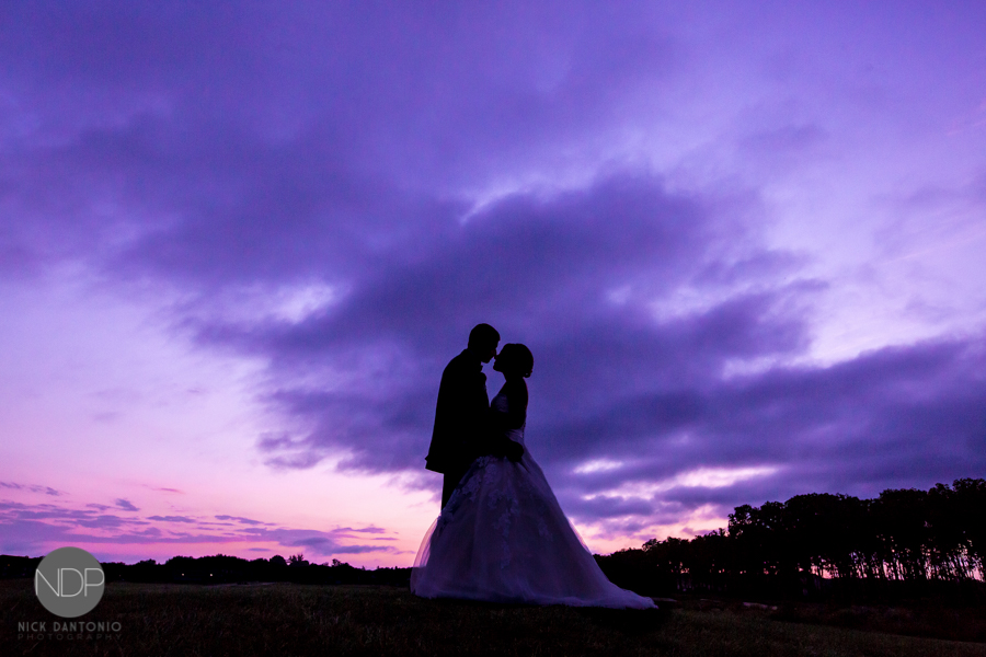 Matt & Lily-Post-61-Blog