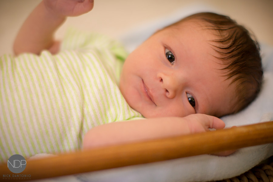 11-Newborn Photos_© NDP 2014-Blog