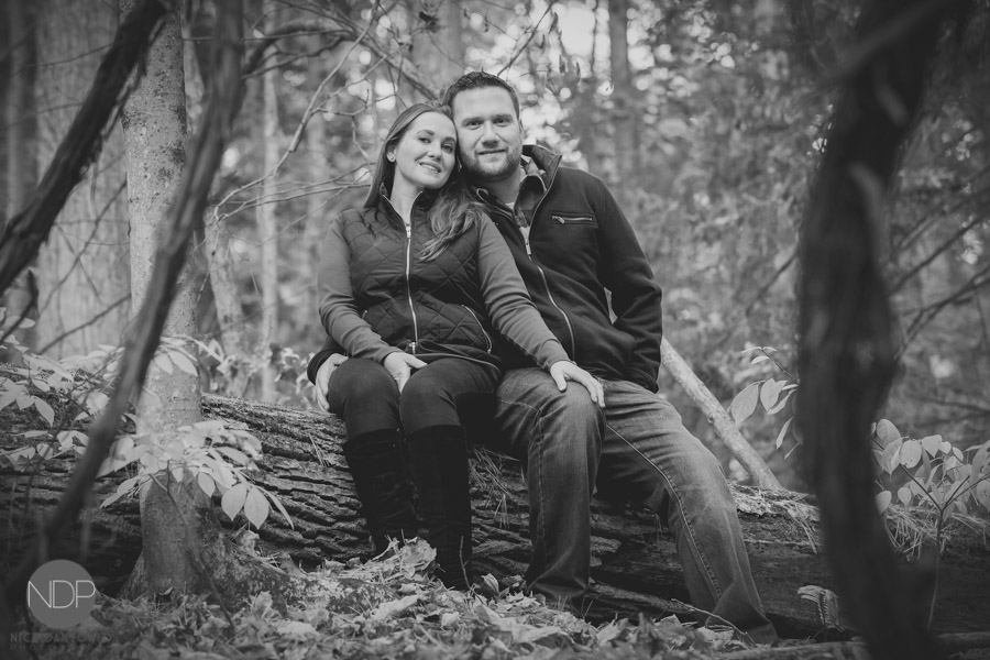 18-Letchworth State Park Engagment Photos_Copyrighted-Blog