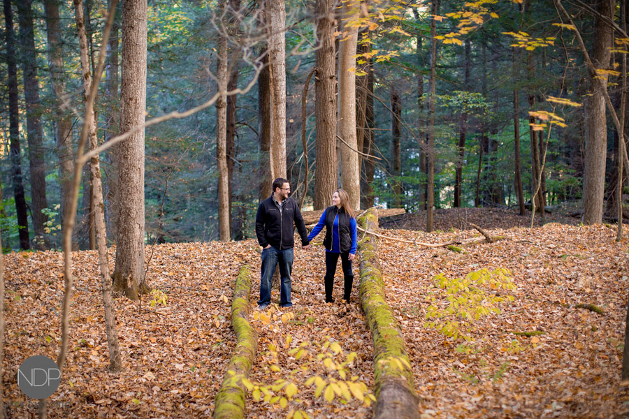 19-Letchworth State Park Engagment Photos_Copyrighted-Blog