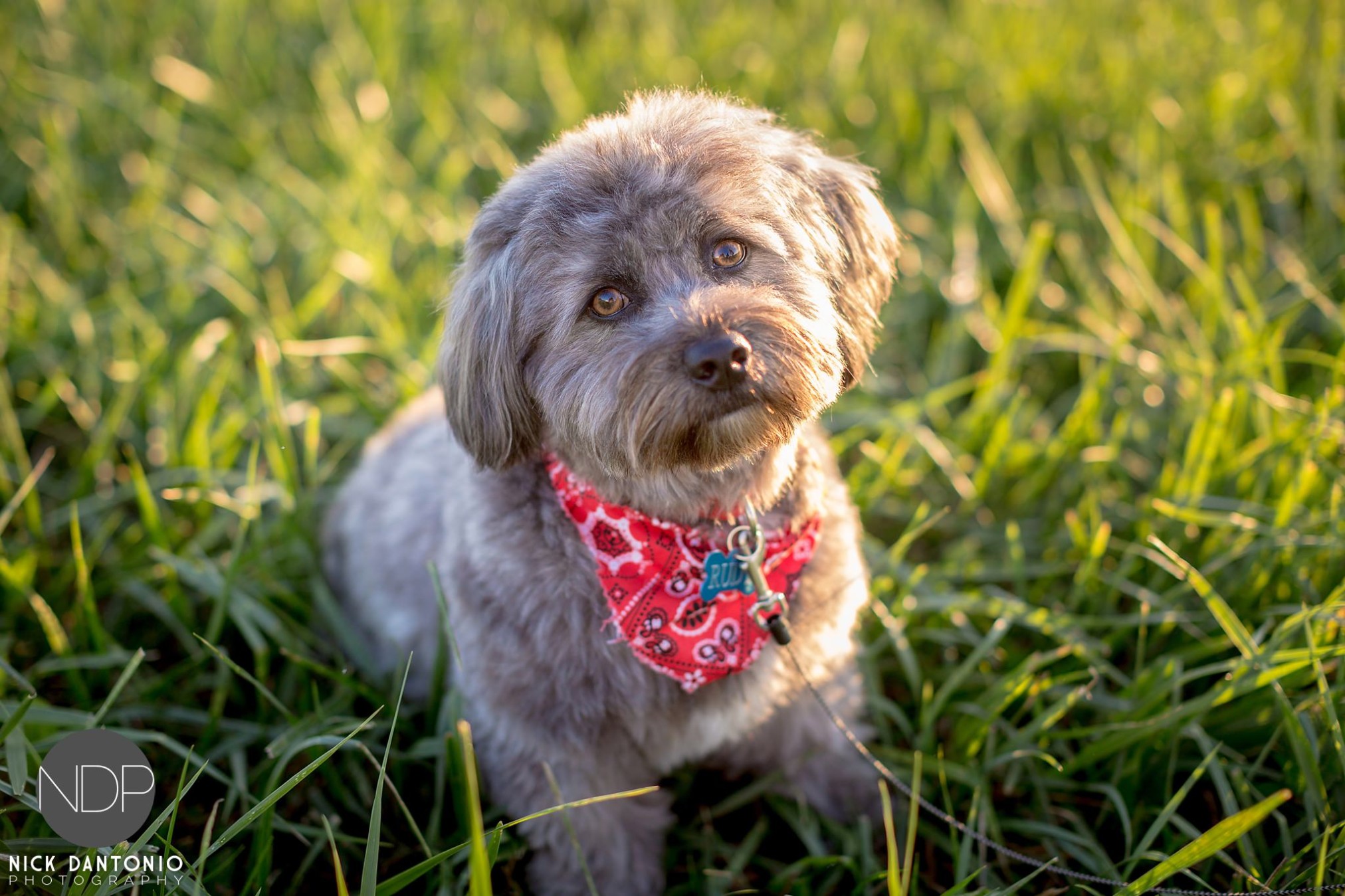 05-warsaw-sunset-engagement-photos