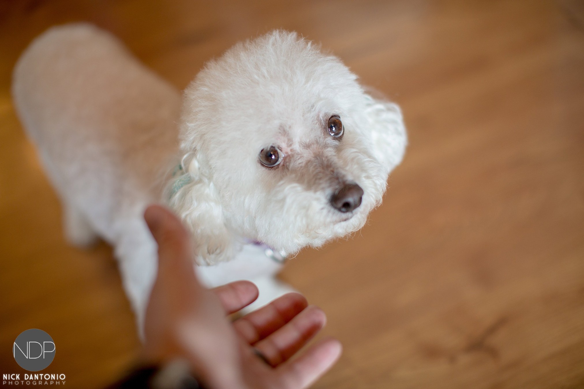 06-rochester-wedding-photography