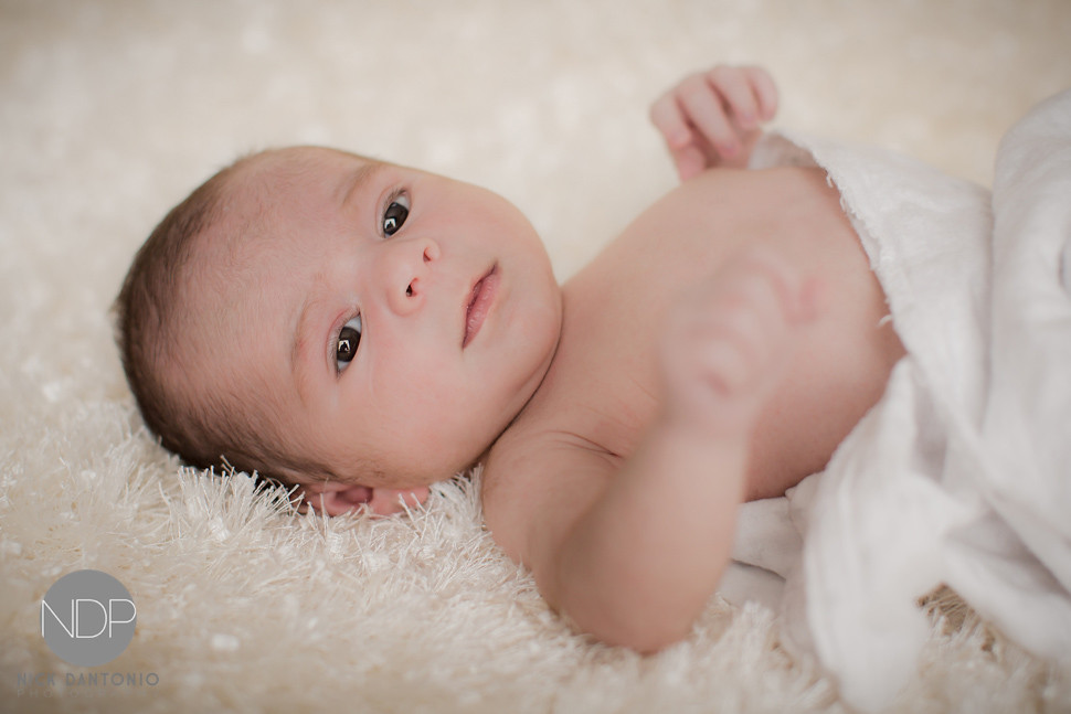 1-Buffalo Newborn Baby Photos-Blog_© NDP 2016