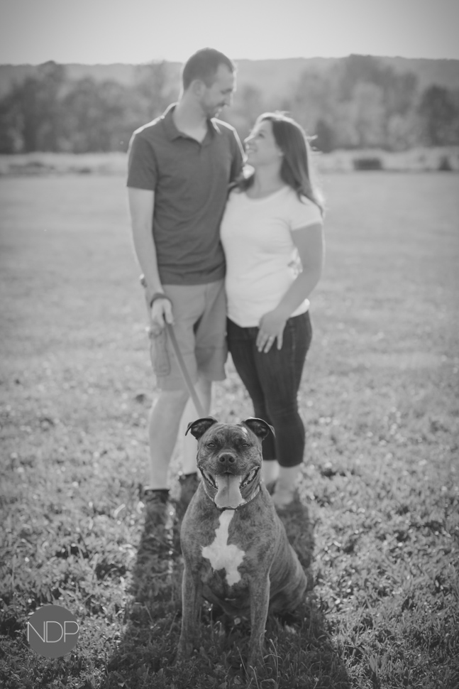1-Letchworth State Park Engagement Photos-Blog_© NDP 2015