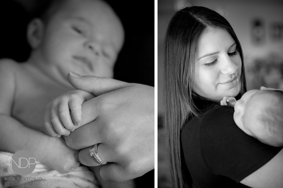 12-Buffalo Newborn Baby Photos-Blog_© NDP 2016