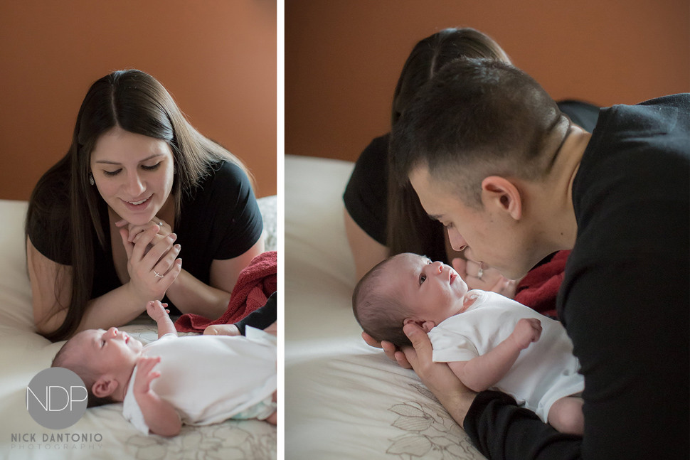 15-Buffalo Newborn Baby Photos-Blog_© NDP 2016