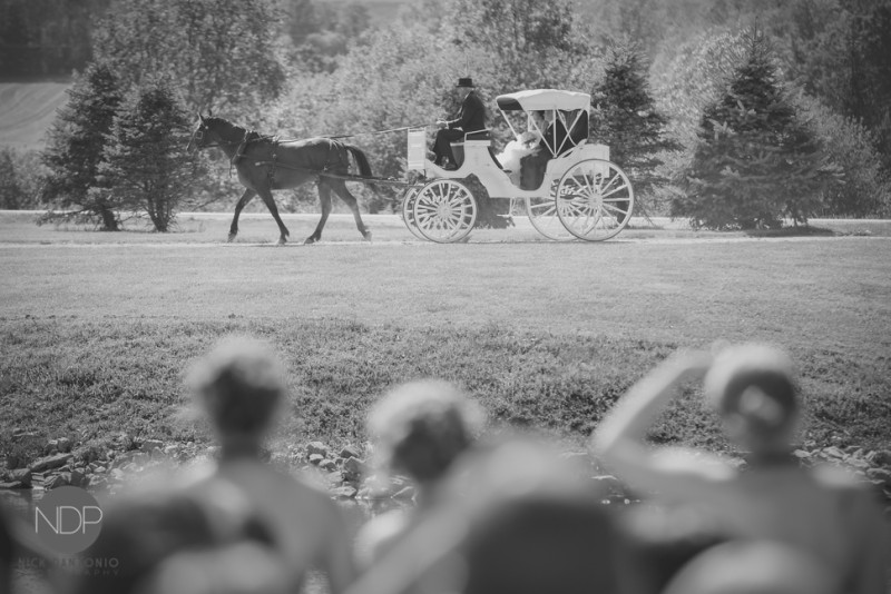 16-Hidden Valley Wedding Ceremony Photos-970-Blog_© NDP 2015