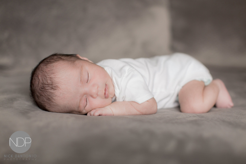 19-Buffalo Newborn Baby Photos-Blog_© NDP 2016