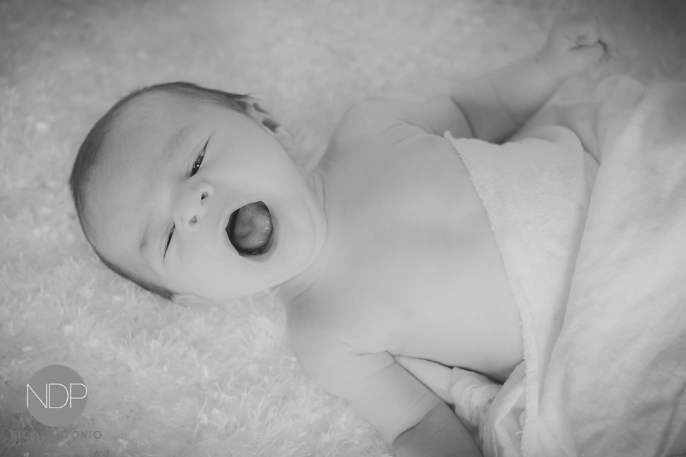 2-Buffalo Newborn Baby Photos-Blog_© NDP 2016
