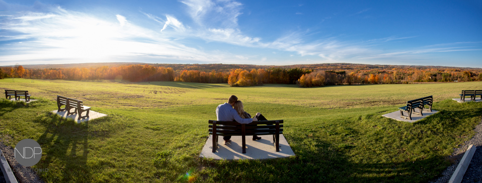 2-East Aurora Engagement Photos-Blog_© NDP 2015