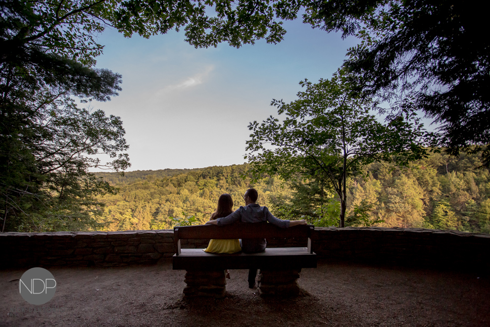 2-Letchworth State Park Engagement Photos-Blog_© NDP 2015