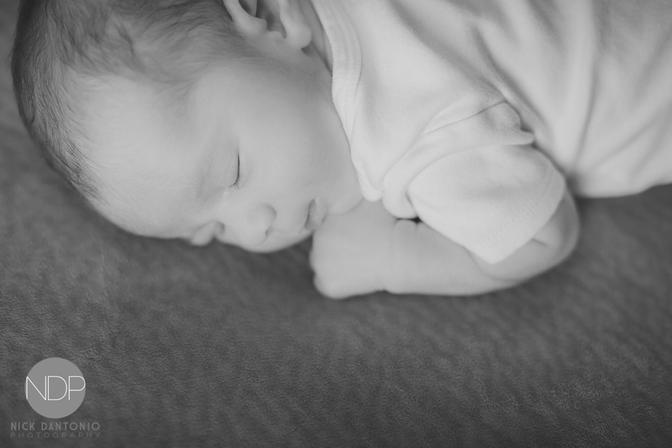 20-Buffalo Newborn Baby Photos-Blog_© NDP 2016