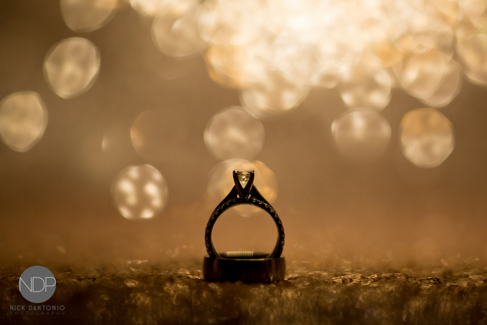 20-Geneseo Wedding Photos-Blog_© NDP 2015