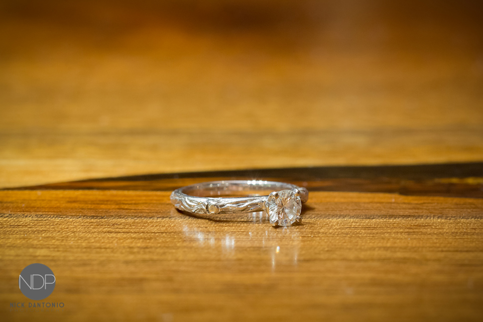 27-Rochester Engagement Photos-Blog_© NDP 2015