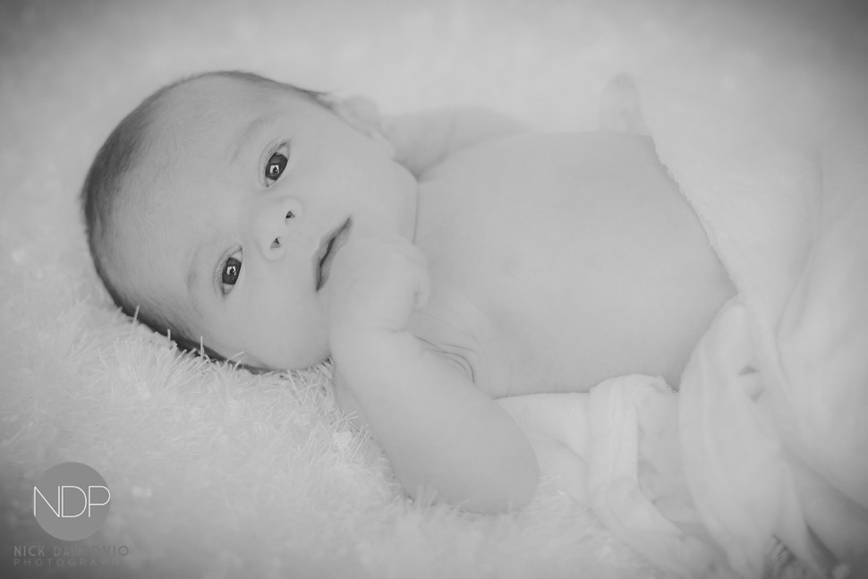 3-Buffalo Newborn Baby Photos-Blog_© NDP 2016