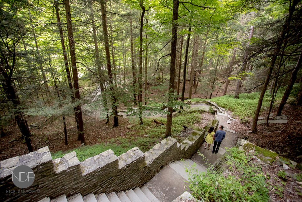 3-Letchworth State Park Engagement Photos-Blog_© NDP 2015