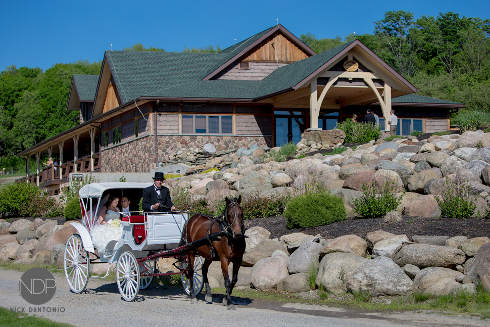 34-Hidden Valley Wedding Photos-970-Blog_© NDP 2015