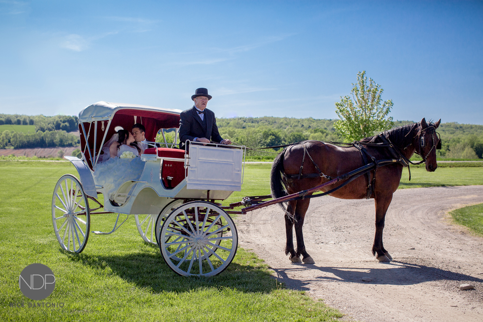 35-Hidden Valley Wedding Photos-970-Blog_© NDP 2015