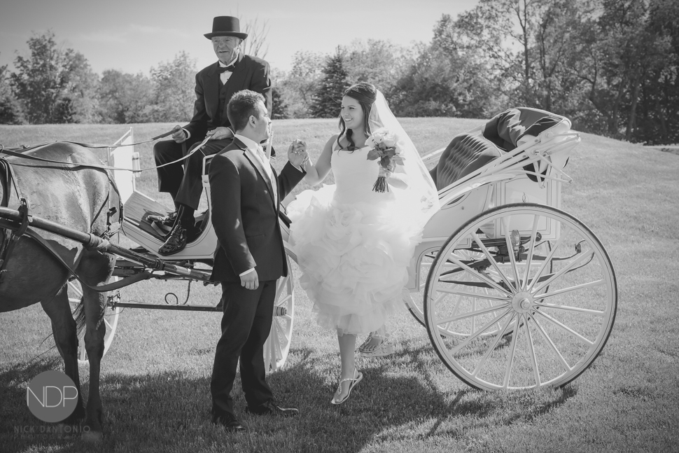 37-Hidden Valley Wedding Photos-970-Blog_© NDP 2015