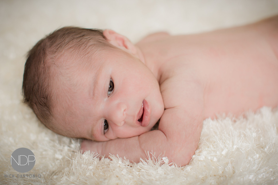 4-Buffalo Newborn Baby Photos-Blog_© NDP 2016
