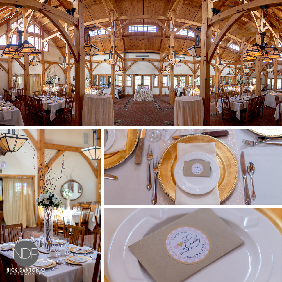 42-Timberlodge Wedding Reception-Blog_© NDP 2016