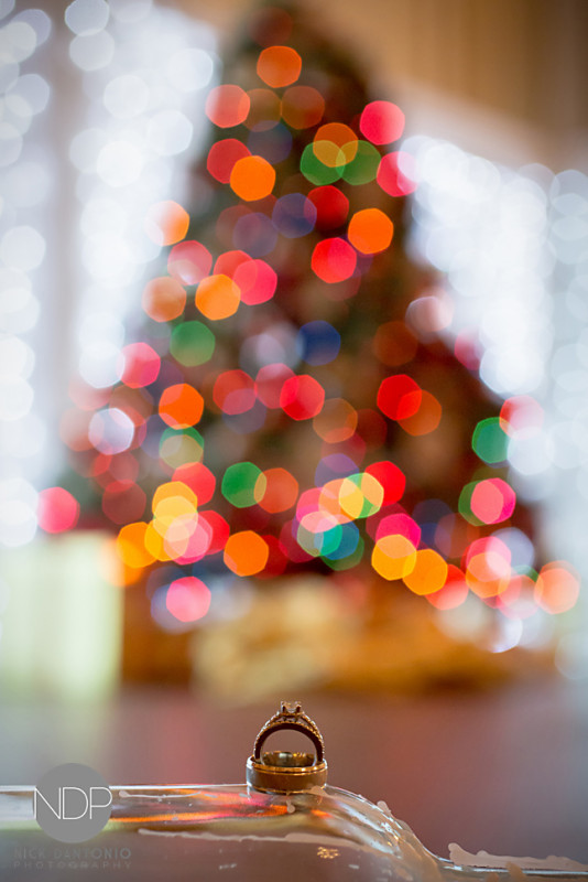 44-Hamlin House Wedding Photos-Blog_© NDP 2016