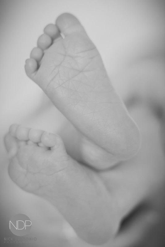 5-Buffalo Newborn Baby Photos-Blog_© NDP 2016