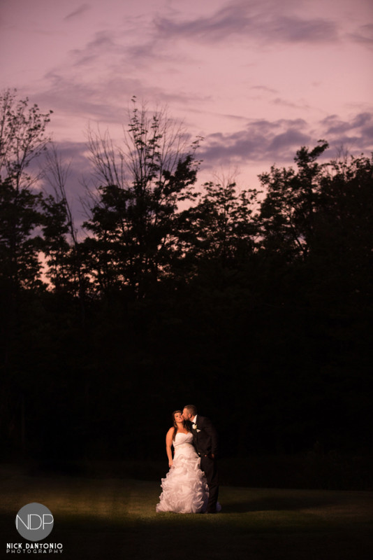 58-Avanti Mansion Wedding Reception_FB