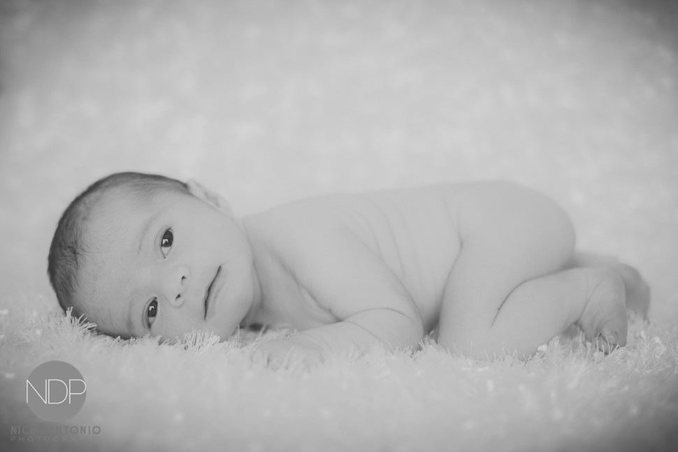 6-Buffalo Newborn Baby Photos-Blog_© NDP 2016