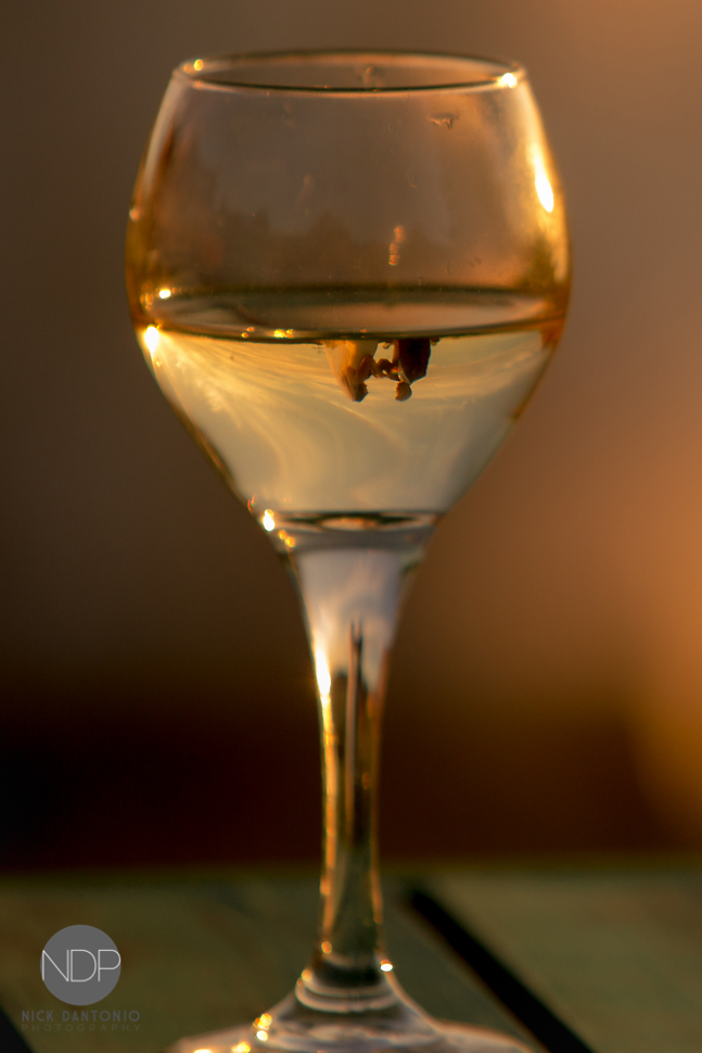 60-Hidden Valley Wedding Sunset Photos-970-Blog_© NDP 2015