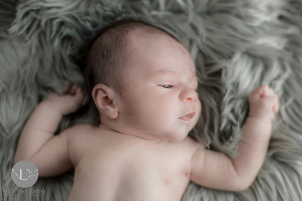 7-Buffalo Newborn Baby Photos-Blog_© NDP 2016