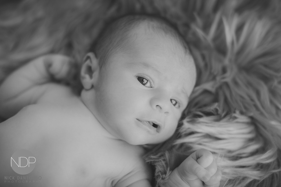 8-Buffalo Newborn Baby Photos-Blog_© NDP 2016