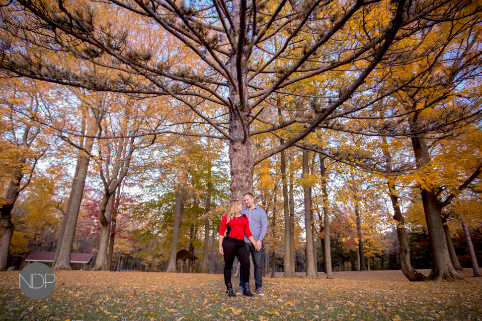8-East Aurora Engagement Photos-Blog_© NDP 2015