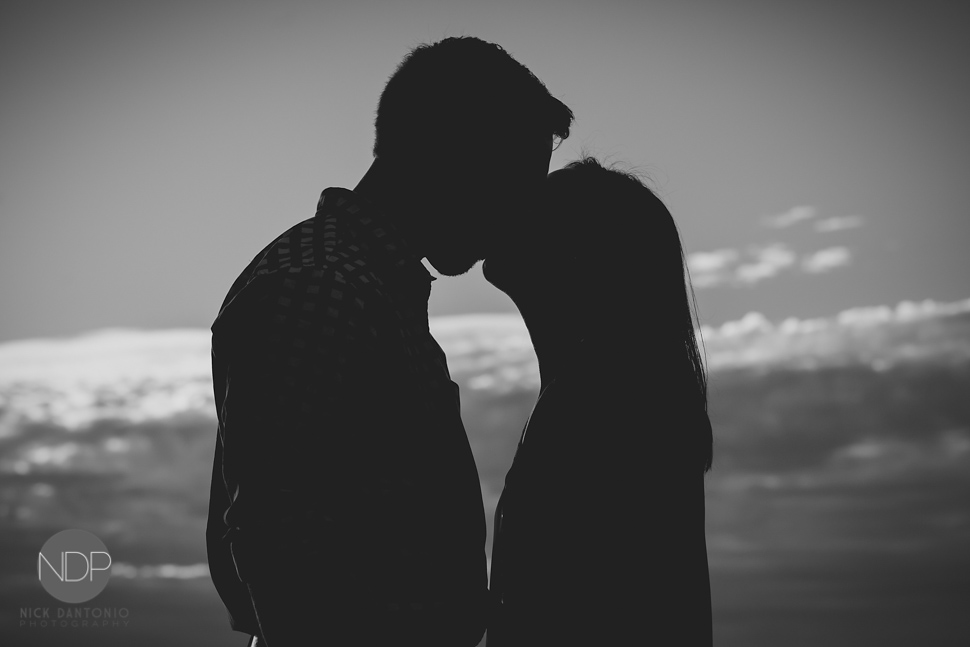 Geneseo Engagement Photos-16-Blog_© NDP 2015