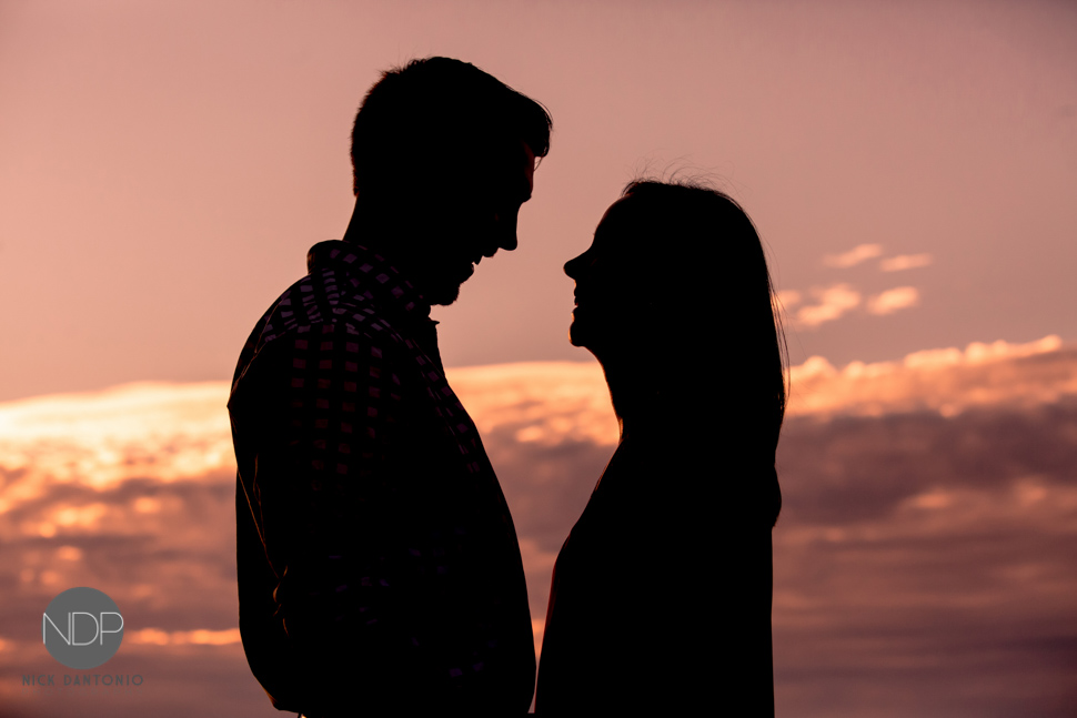 Geneseo Engagement Photos-17-Blog_© NDP 2015