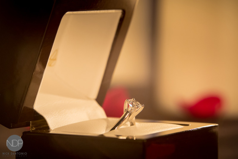 Jeff & Alyssa Engagement Event-4-Blog_© NDP 2015