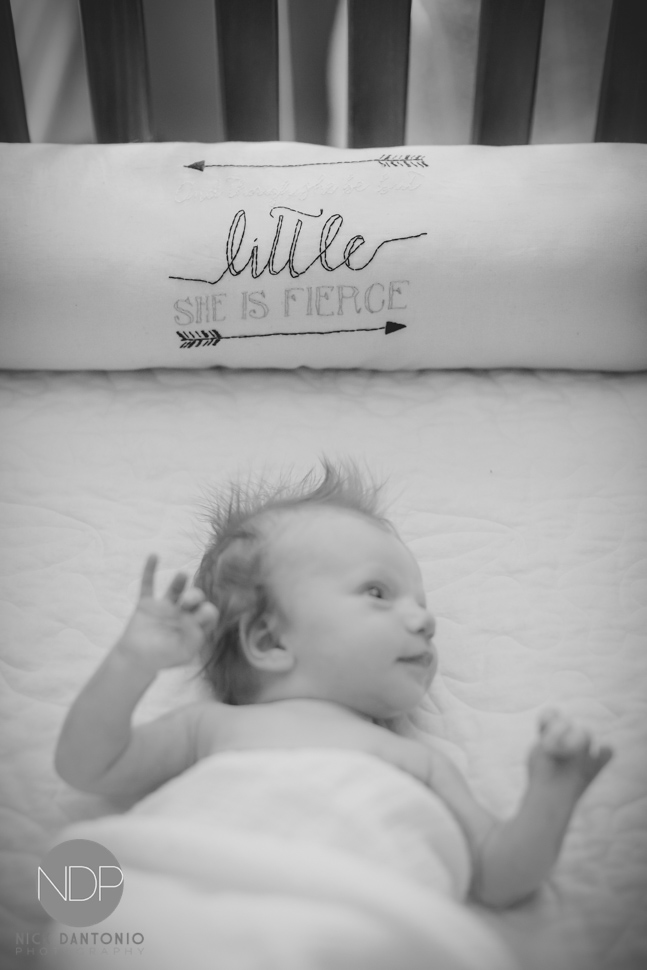 Maggie Newborn-150-2-Blog_© NDP 2016