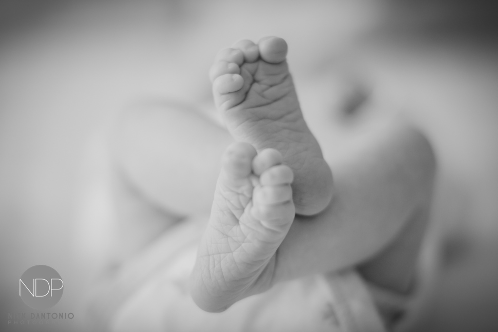 Maggie Newborn-95-2-Blog_© NDP 2016
