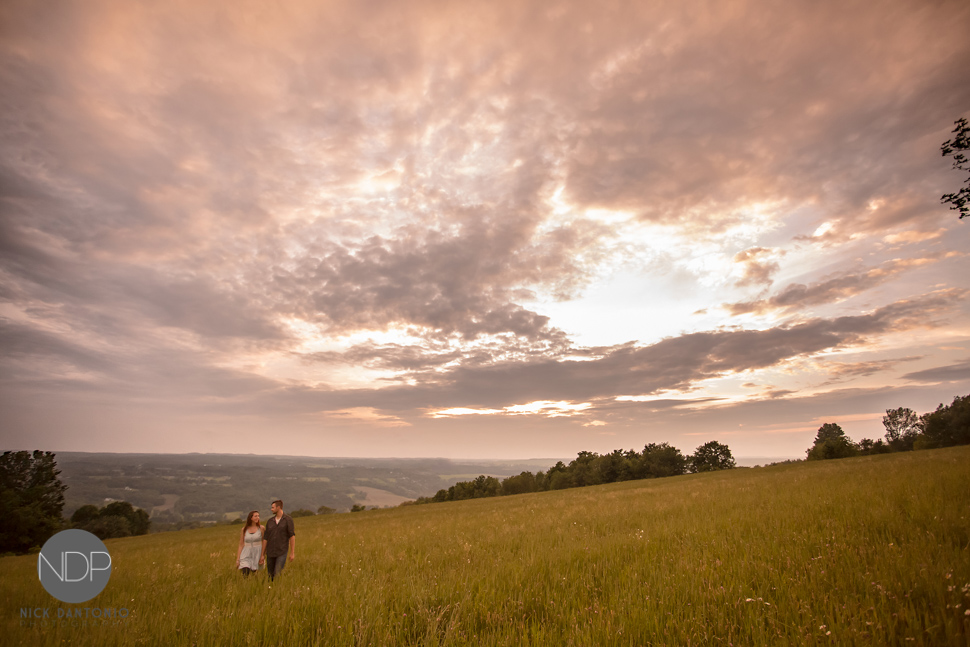 Warsaw Engagement Photos-14-Blog_© NDP 2015